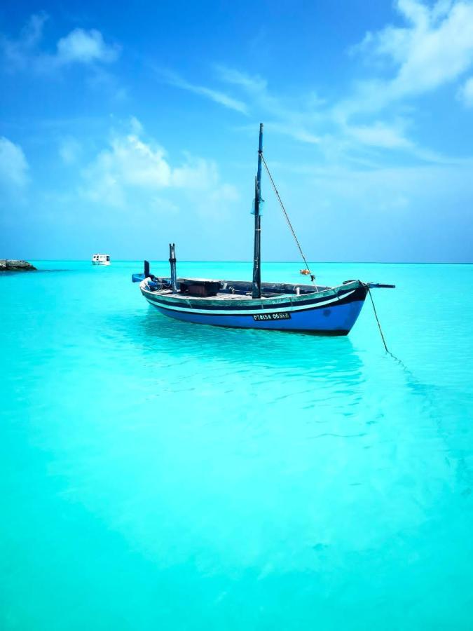 Ninos K.guraidhoo Pensiune